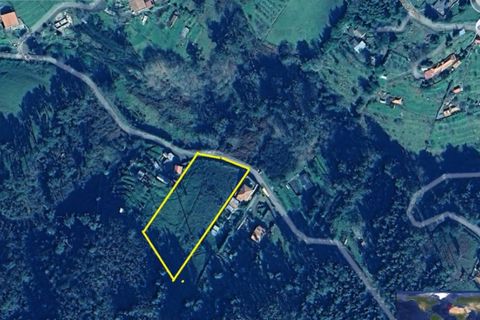 Terra a Camacha, Madeira, Camacha - € 70.000 | Ref: 1696 - foto 19