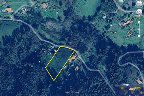 Terra a Camacha, Madeira, Camacha - € 70.000 | Ref: 1696 - foto 20