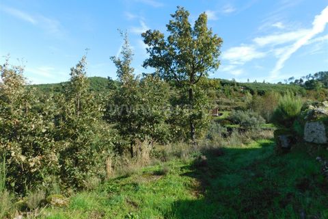 Landejendom i Seia, Guarda, Seia - € 40.000 | Ref: 382240132 - foto 6