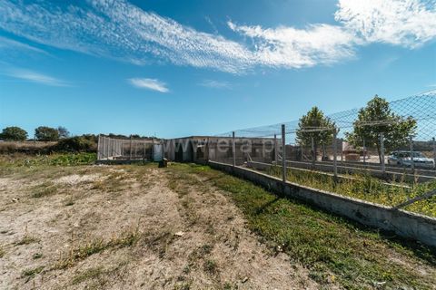 Landejendom i Belmonte, Castelo Branco, Belmonte - € 690.000 | Ref: 111240183 - foto 17