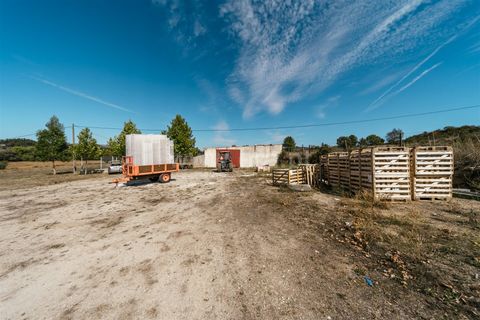 Landejendom i Belmonte, Castelo Branco, Belmonte - € 690.000 | Ref: 111240183 - foto 18
