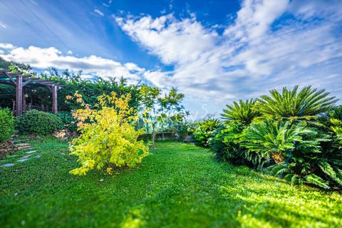 Villa a Vallebona, Imperia, Vallebona - € 695.000 | Ref: 5754 - foto 11