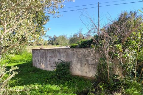 Villa a Conceicao e Estoi, Faro, Conceicao e Estoi - € 350.000 | Ref: 025240018 - foto 8