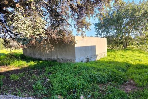 Villa a Conceicao e Estoi, Faro, Conceicao e Estoi - € 350.000 | Ref: 025240018 - foto 9