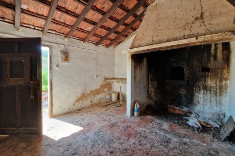 Farm i Odemira, Beja, Odemira - € 198.500 | Ref: 338240051 - foto 2