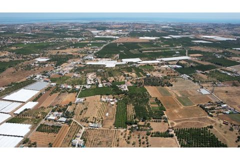 Villa i Conceicao e Estoi, Faro, Conceicao e Estoi - € 780.000 | Ref: 025240133 - foto 28