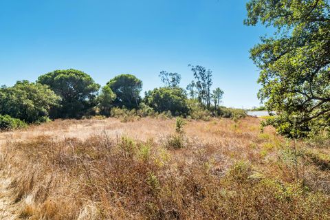 Helårsgrund i Setubal, Setubal, Setubal - € 369.000 | Ref: CB07-TUR_14 - foto 26