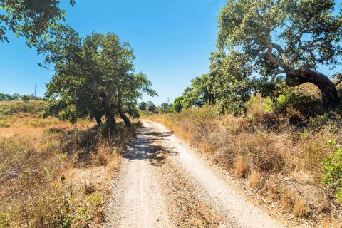 Helårsgrund i Setubal, Setubal, Setubal - € 369.000 | Ref: CB07-TUR_14 - foto 31