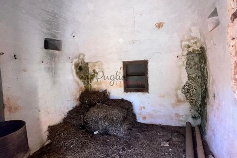 Landejendom i Ostuni, Brindisi, Ostuni - € 135.000 | Ref: 302 - foto 20