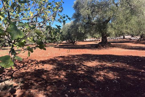 Landejendom i Ostuni, Brindisi, Ostuni - € 135.000 | Ref: 302 - foto 24