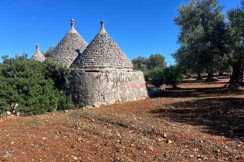 Landejendom i Ostuni, Brindisi, Ostuni - € 135.000 | Ref: 302 - foto 16