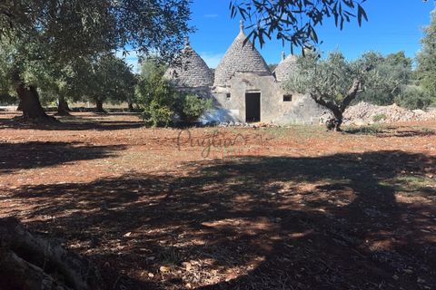 Landejendom i Ostuni, Brindisi, Ostuni - € 135.000 | Ref: 302 - foto 14