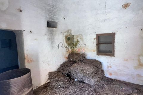 Landejendom i Ostuni, Brindisi, Ostuni - € 135.000 | Ref: 302 - foto 36