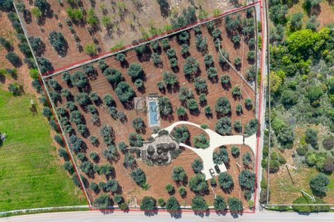 Landejendom i Ostuni, Brindisi, Ostuni - € 135.000 | Ref: 302 - foto 8