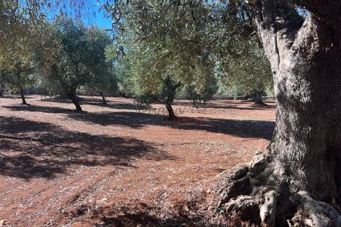Landejendom i Ostuni, Brindisi, Ostuni - € 135.000 | Ref: 302 - foto 32