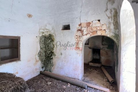 Landejendom i Ostuni, Brindisi, Ostuni - € 135.000 | Ref: 302 - foto 19