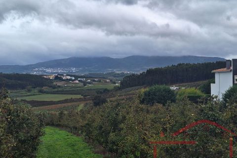 Helårsgrund i Cadaval, Lisbon, Cadaval - € 25.000 | Ref: 027-2024 - foto 12