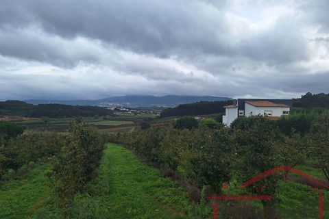 Helårsgrund i Cadaval, Lisbon, Cadaval - € 25.000 | Ref: 027-2024 - foto 13
