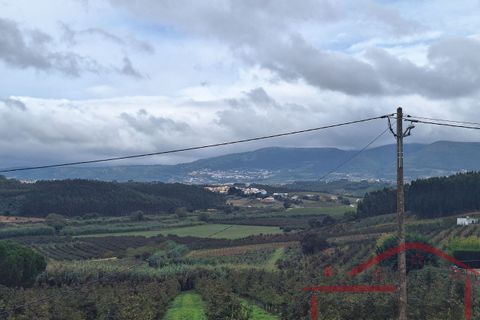 Helårsgrund i Cadaval, Lisbon, Cadaval - € 25.000 | Ref: 027-2024 - foto 15