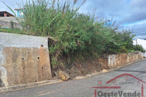 Helårsgrund i Cadaval, Lisbon, Cadaval - € 35.000 | Ref: 028-2024 - foto 12