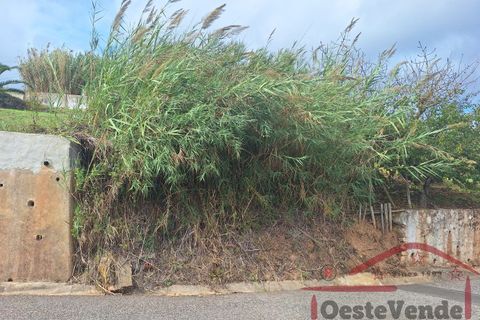 Helårsgrund i Cadaval, Lisbon, Cadaval - € 35.000 | Ref: 028-2024 - foto 13