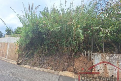 Helårsgrund i Cadaval, Lisbon, Cadaval - € 35.000 | Ref: 028-2024 - foto 14