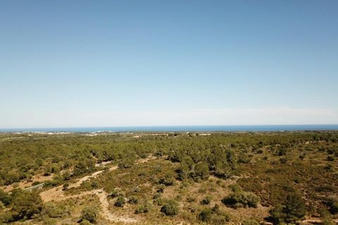 Helårsgrund i Manacor, Mallorca, Manacor - € 390.000 | Ref: MAN0455b - foto 13