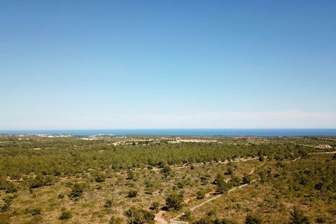 Helårsgrund i Manacor, Mallorca, Manacor - € 390.000 | Ref: MAN0455b - foto 15