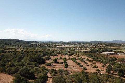 Helårsgrund i Manacor, Mallorca, Manacor - € 390.000 | Ref: MAN0455b - foto 21