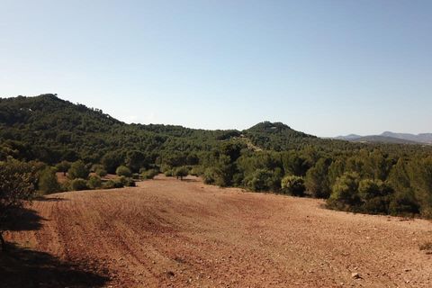 Helårsgrund i Manacor, Mallorca, Manacor - € 390.000 | Ref: MAN0455b - foto 22