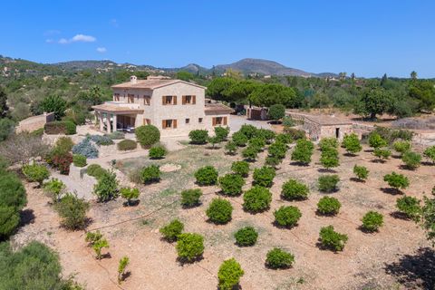 Landejendom i Manacor, Mallorca, Manacor - € 3.890.000 | Ref: MAN53007ETV - foto 28
