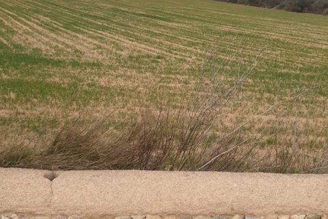 Helårsgrund i Llucmajor, Mallorca, Llucmajor - € 275.000 | Ref: SWOLLU0302 - foto 2