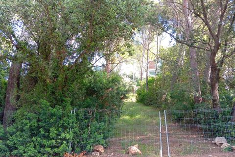 Terra a Port De Pollenca, Mallorca, Port De Pollenca - € 450.000 | Ref: PTP0634 - foto 2