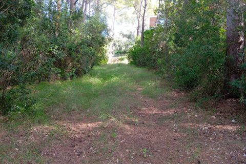 Terra a Port De Pollenca, Mallorca, Port De Pollenca - € 450.000 | Ref: PTP0634 - foto 3