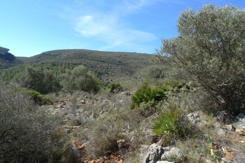 Helårsgrund i Benigembla, Alicante, Benigembla - € 90.000 | Ref: 001558 - foto 1