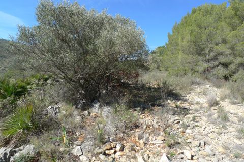 Helårsgrund i Benigembla, Alicante, Benigembla - € 90.000 | Ref: 001558 - foto 2