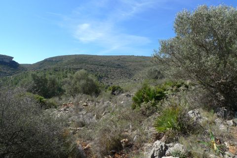 Helårsgrund i Benigembla, Alicante, Benigembla - € 90.000 | Ref: 001558 - foto 4