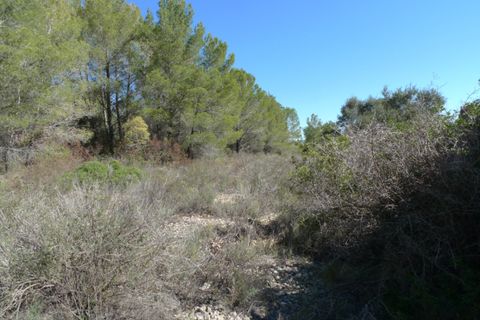 Helårsgrund i Benigembla, Alicante, Benigembla - € 90.000 | Ref: 001558 - foto 5