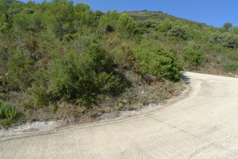 Helårsgrund i Benigembla, Alicante, Benigembla - € 90.000 | Ref: 001558 - foto 8