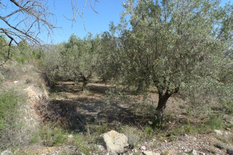 Helårsgrund i Benigembla, Alicante, Benigembla - € 90.000 | Ref: 001558 - foto 9