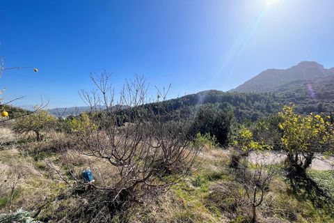 Byhus i Campell, Alicante, Campell - € 260.000 | Ref: NCB1391 - foto 20