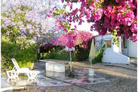 Farm i Tavira, Faro, Tavira - € 369.000 | Ref: BPRE064 - foto 1