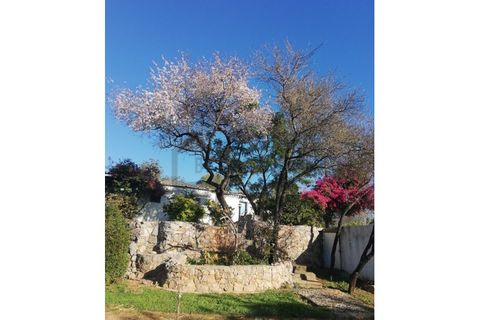 Farm i Tavira, Faro, Tavira - € 369.000 | Ref: BPRE064 - foto 3