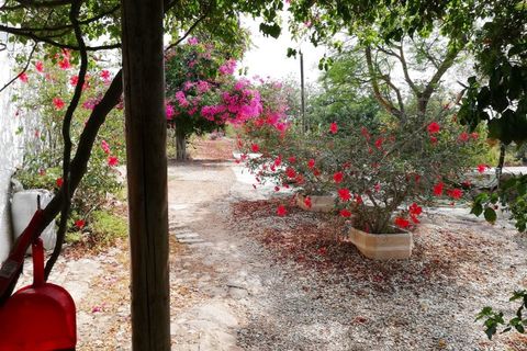 Farm i Tavira, Faro, Tavira - € 369.000 | Ref: BPRE064 - foto 6