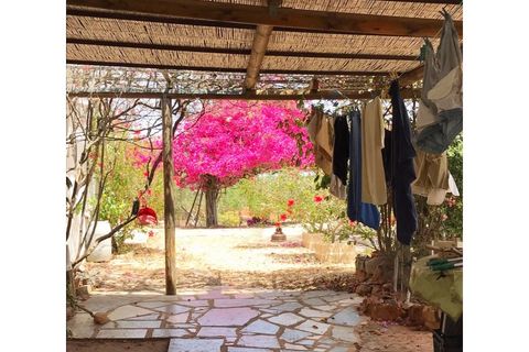 Farm i Tavira, Faro, Tavira - € 369.000 | Ref: BPRE064 - foto 7