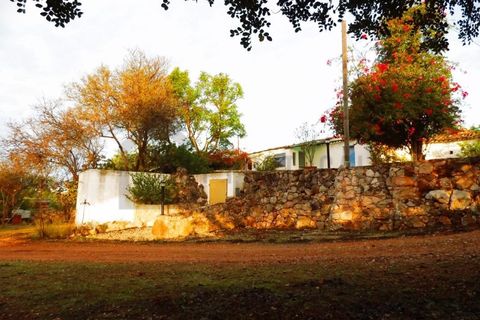 Farm i Tavira, Faro, Tavira - € 369.000 | Ref: BPRE064 - foto 9