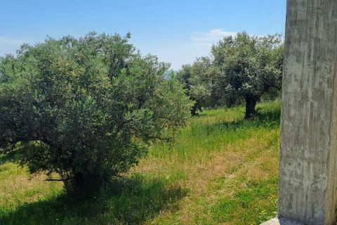 Villa i Silvi, Teramo, Silvi - € 659.000 | Ref: A1042 - foto 4