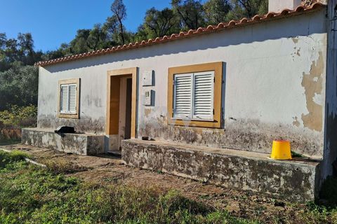 Helårsgrund i Monchique, Faro, Monchique - € 300.000 | Ref: KWPT-006162 - foto 1