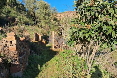 Helårsgrund i Monchique, Faro, Monchique - € 300.000 | Ref: KWPT-006162 - foto 9