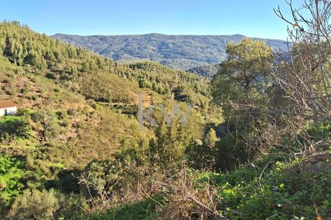 Helårsgrund i Monchique, Faro, Monchique - € 300.000 | Ref: KWPT-006162 - foto 10